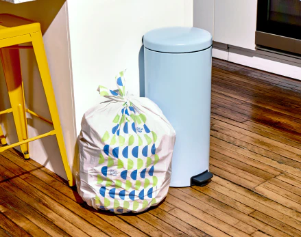 Wipe Away Deforestation Today